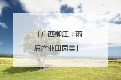 广西柳江：雨后产业田园美